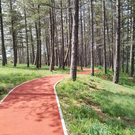 Apartamento Zaxtef Wellness&spa U Ceni Zlatibor