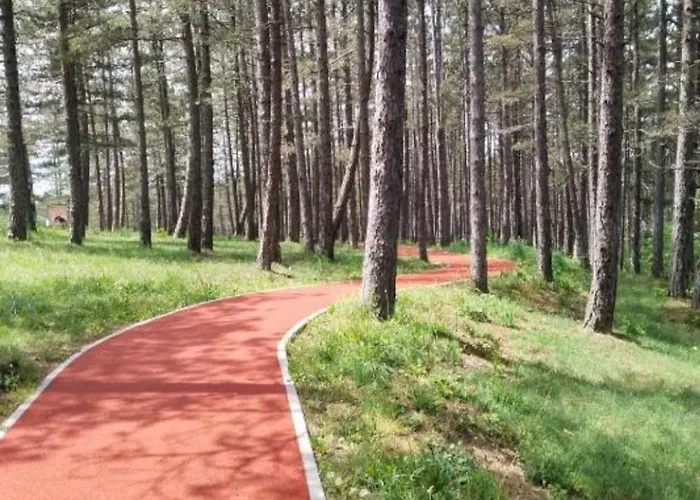 Apartment Zaxtef Wellness&spa U Ceni Zlatibor